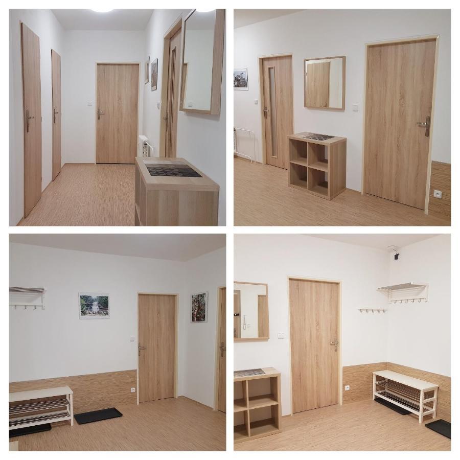 Apartman 101 Horní Maršov エクステリア 写真